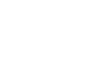 Domain Logo